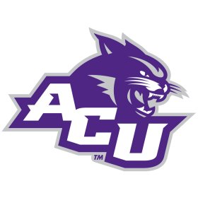 Abilene Christian Wildcats 2013-Pres Primary Logo iron on DTF transfer