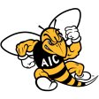 AIC Yellow Jackets 2009-Pres Primary Logo iron on DTF transfer