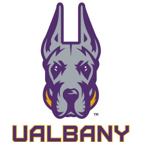 Albany Great Danes 2020-Pres Primary Logo iron on DTF transfer