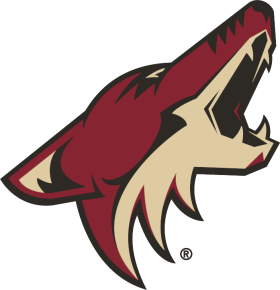 Arizona Coyotes 2014-Pres Primary Logo iron on DTF transfer