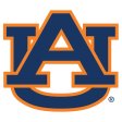 Auburn Tigers 1971-Pres Primary Logo iron on DTF transfer
