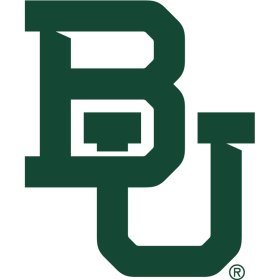 Baylor Bears 2019-Pres Primary Logo iron on DTF transfer