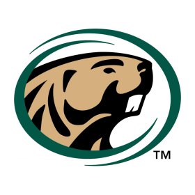 Bemidji State Beavers 2004-Pres Primary Logo iron on DTF transfer