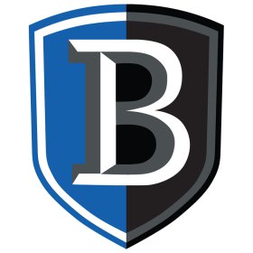 Bentley Falcons 2013-Pres Primary Logo iron on DTF transfer