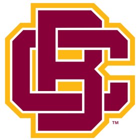 Bethune-Cookman Wildcats 2016-Pres Primary Logo iron on DTF transfer