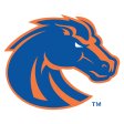 Boise State Broncos 2013-Pres Primary Logo iron on DTF transfer