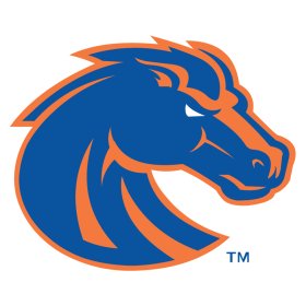 Boise State Broncos 2013-Pres Primary Logo iron on DTF transfer