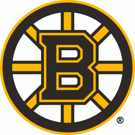 Boston Bruins 2007-Pres Primary Logo iron on DTF transfer