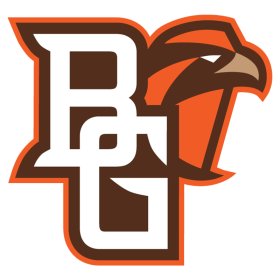 Bowling Green Falcons 2006-Pres Primary Logo iron on DTF transfer