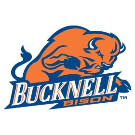 Bucknell Bison 2002-Pres Primary Logo iron on DTF transfer