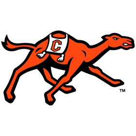 (image for) Campbell Fighting Camels 2023-Pres Primary Logo iron on DTF transfer
