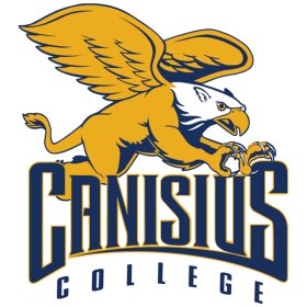 (image for) Canisius Golden Griffins 2006-Pres Primary Logo iron on DTF transfer