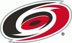 Carolina Hurricanes 1999-Pres Primary Logo iron on DTF transfer