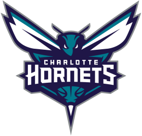 (image for) Charlotte Hornets 2014-Pres Primary Logo iron on DTF transfer