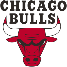 (image for) Chicago Bulls 1966-Pres Primary Logo iron on DTF transfer