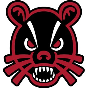 Cincinnati Bearcats 2018-Pres Secondary Logo iron on DTF transfer
