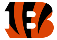 Cincinnati Bengals 2021-Pres Primary Logo iron on DTF transfer