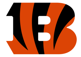 Cincinnati Bengals 2021-Pres Primary Logo iron on DTF transfer