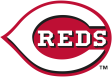 Cincinnati Reds 2013-Pres Primary Logo iron on DTF transfer
