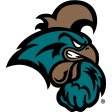 Coastal Carolina Chanticleers 2016-Pres Primary Logo iron on DTF transfer