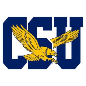 (image for) Coppin State Eagles 2017-Pres Primary Logo iron on DTF transfer