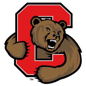 (image for) Cornell Big Red 2002-Pres Primary Logo iron on DTF transfer