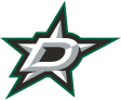 Dallas Stars 2013-Pres Primary Logo iron on DTF transfer