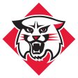 Davidson Wildcats 2010-Pres Primary Logo iron on DTF transfer
