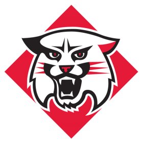 (image for) Davidson Wildcats 2010-Pres Primary Logo iron on DTF transfer