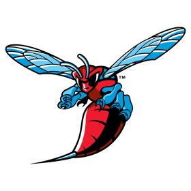 (image for) Delaware State Hornets 2004-Pres Primary Logo iron on DTF transfer