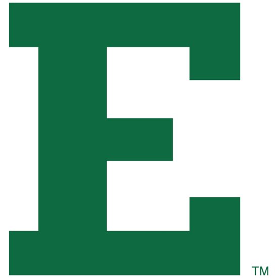 (image for) Eastern Michigan Eagles 2013-Pres Primary Logo iron on DTF transfer