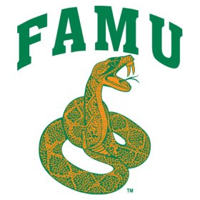 Florida A&M Rattlers 0-Pres Primary Logo iron on DTF transfer
