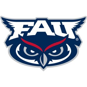 Florida Atlantic Owls 2018-Pres Primary Logo iron on DTF transfer