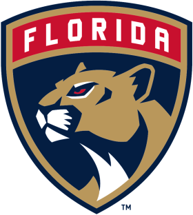 (image for) Florida Panthers 2017-Pres Primary Logo iron on DTF transfer