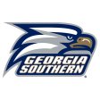 Georgia Southern Eagles 2010-Pres Primary Logo iron on DTF transfer