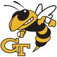 Georgia Tech Yellow Jackets 1991-Pres Primary Logo iron on DTF transfer