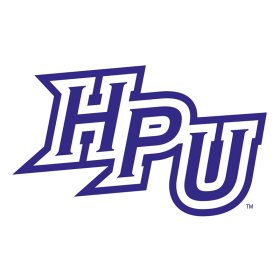High Point Panthers 2012-Pres Primary Logo iron on DTF transfer