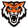 Idaho State Bengals 2019-Pres Primary Logo iron on DTF transfer