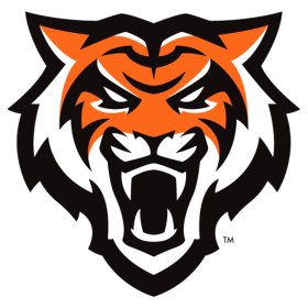 Idaho State Bengals 2019-Pres Primary Logo iron on DTF transfer