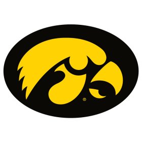 (image for) Iowa Hawkeyes 1979-Pres Primary Logo iron on DTF transfer