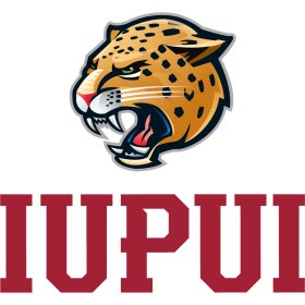 IUPUI Jaguars 2017-Pres Primary Logo iron on DTF transfer