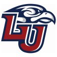 Liberty Flames 2013-Pres Primary Logo iron on DTF transfer
