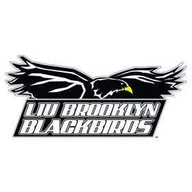 (image for) LIU-Brooklyn Blackbirds 2008-Pres Primary Logo iron on DTF transfer