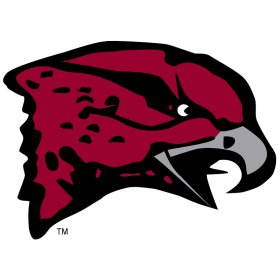 Maryland-Eastern Shore Hawks 2007-Pres Primary Logo iron on DTF transfer