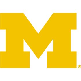 (image for) Michigan Wolverines 2016-Pres Primary Logo iron on DTF transfer