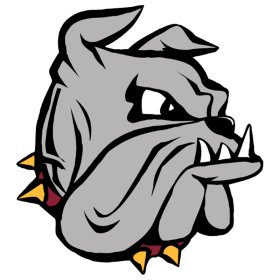 (image for) Minnesota-Duluth Bulldogs 1996-Pres Primary Logo iron on DTF transfer