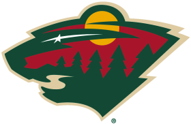 (image for) Minnesota Wild 2013-Pres Primary Logo iron on DTF transfer
