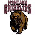 Montana Grizzlies 1996-Pres Primary Logo iron on DTF transfer