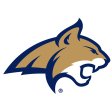 Montana State Bobcats 2013-Pres Primary Logo iron on DTF transfer