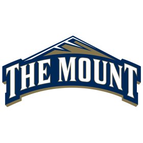 Mount St. Marys Mountaineers 2016-Pres Primary Logo iron on DTF transfer